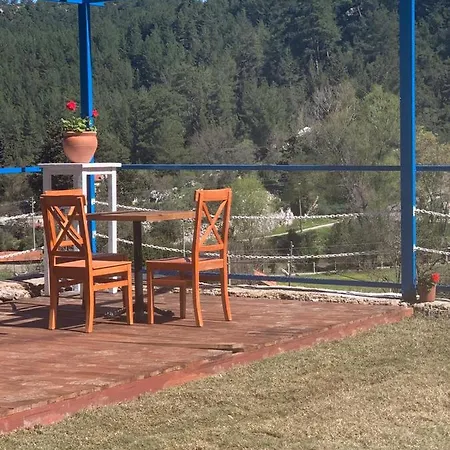 Alp Hotell
