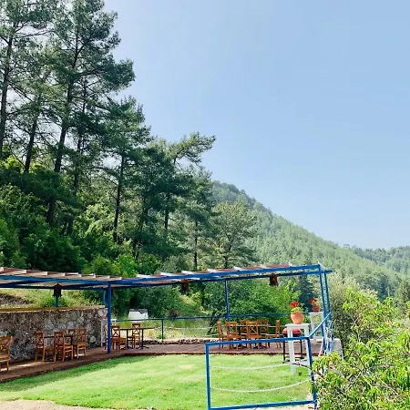 Alp Hotell Turunç