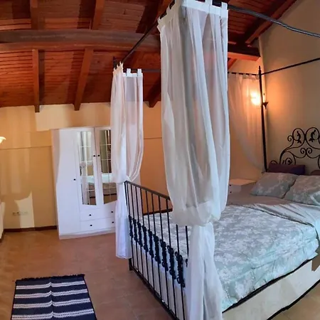 Alp Aparthotel Turunç